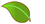 stevia domain leaf